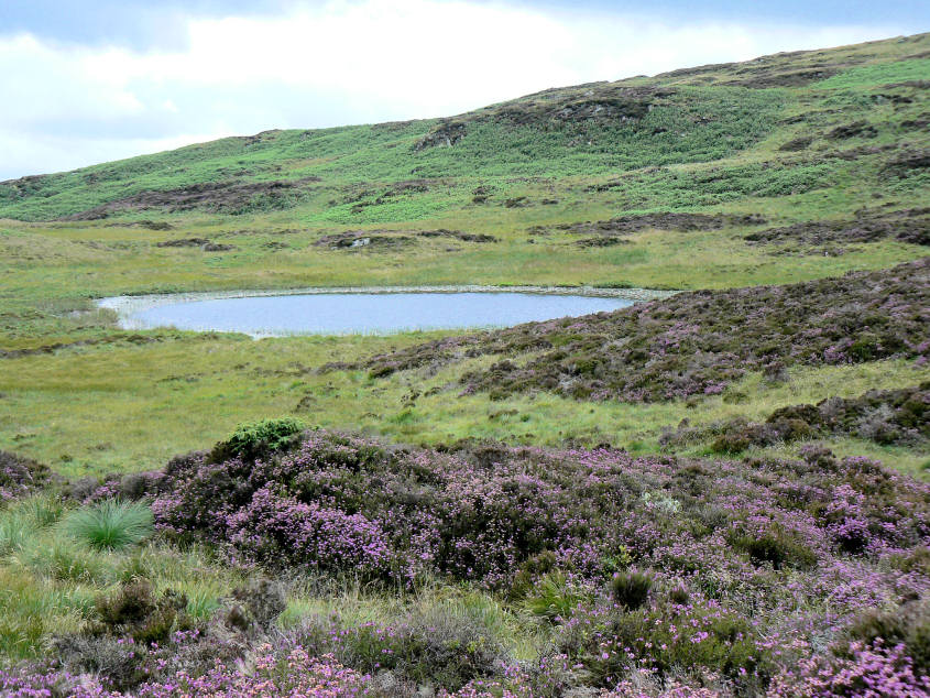 Arnsbarrow Tarn Arnsbarrow Tarn